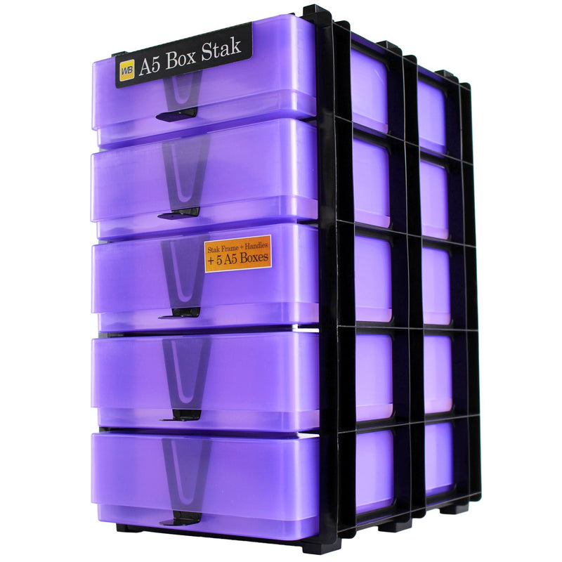 Purple / Transparent